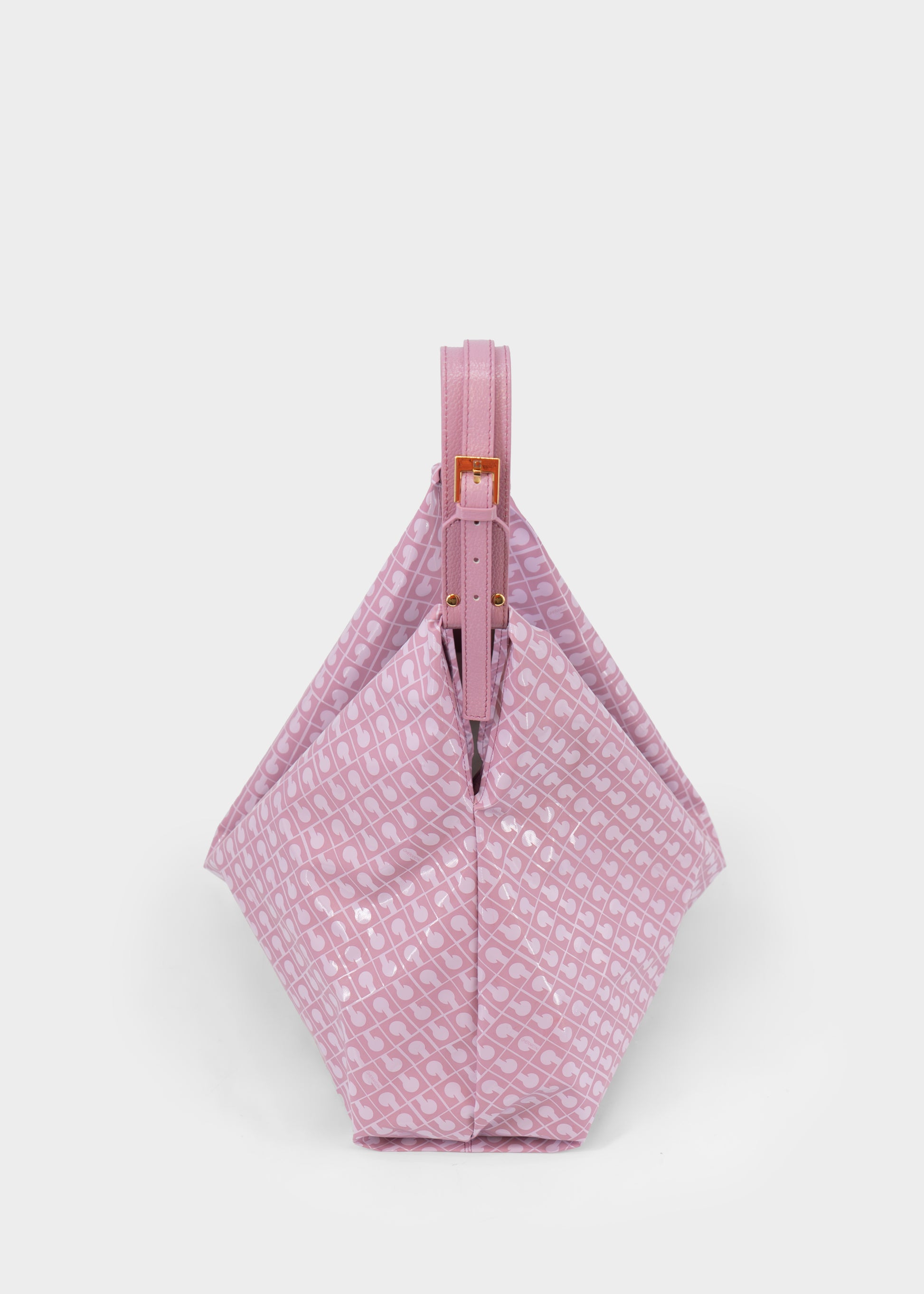 Amazzonia in Glicine