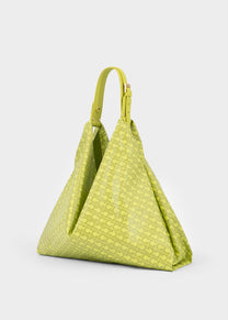 Amazonnia in Lime